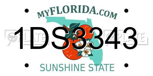 1DS3343 Florida License Plate