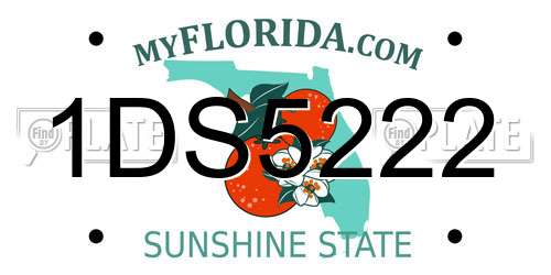 1DS5222 Florida License Plate