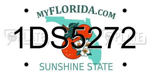 1DS5272 Florida License Plate