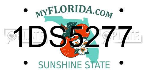 1DS5277 Florida License Plate