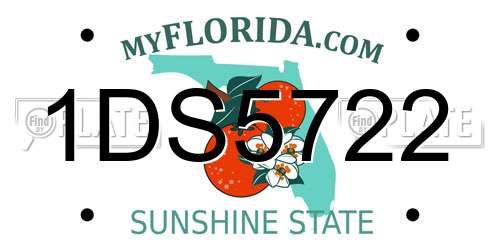 1DS5722 Florida License Plate