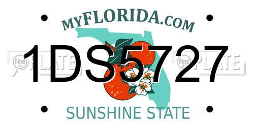 1DS5727 Florida License Plate