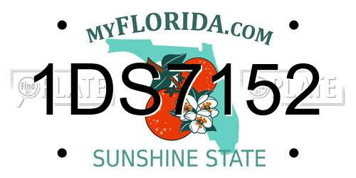 1DS7152 Florida License Plate