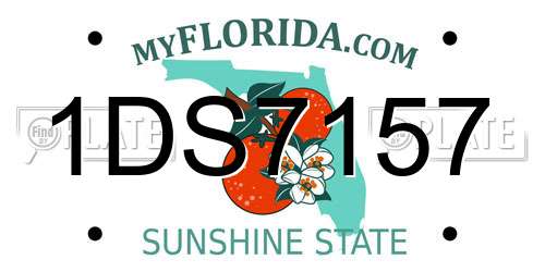 1DS7157 Florida License Plate