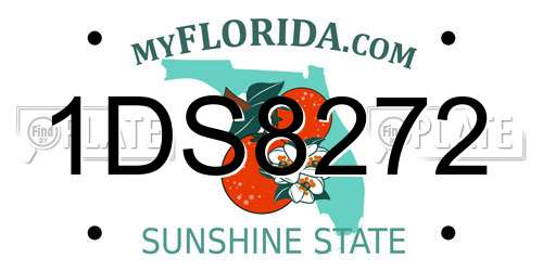 1DS8272 Florida License Plate