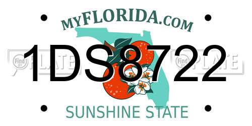 1DS8722 Florida License Plate