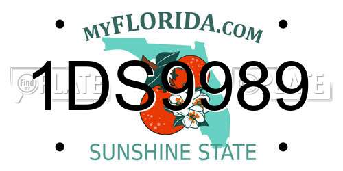 1DS9989 Florida License Plate