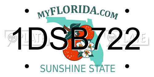 1DSB722 Florida License Plate