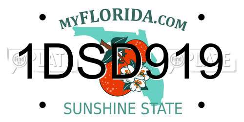 1DSD919 Florida License Plate