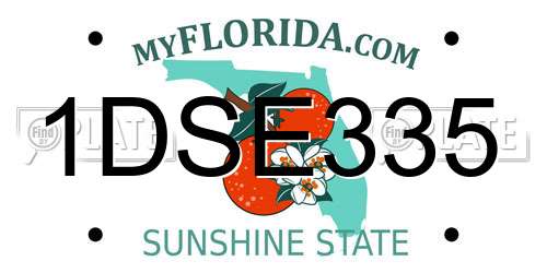 1DSE335 Florida License Plate