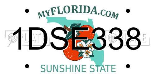 1DSE338 Florida License Plate