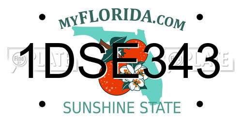1DSE343 Florida License Plate