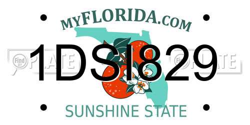 1DSI829 Florida License Plate
