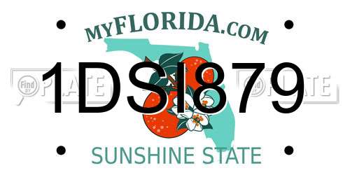 1DSI879 Florida License Plate