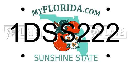 1DSS222 Florida License Plate