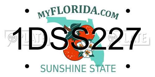 1DSS227 Florida License Plate