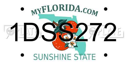 1DSS272 Florida License Plate