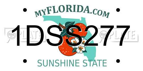 1DSS277 Florida License Plate