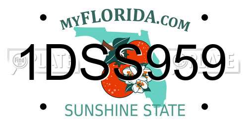 1DSS959 Florida License Plate