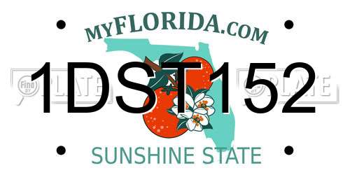 1DST152 Florida License Plate