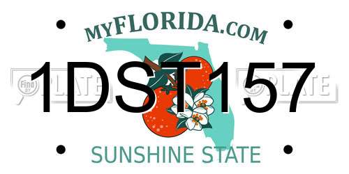 1DST157 Florida License Plate