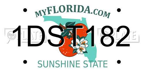 1DST182 Florida License Plate