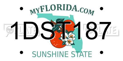 1DST187 Florida License Plate