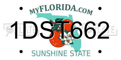 1DST662 Florida License Plate