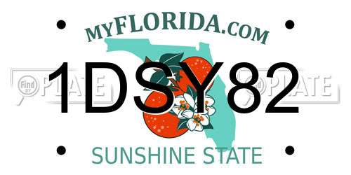 1DSY82 Florida License Plate