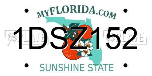 1DSZ152 Florida License Plate