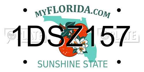 1DSZ157 Florida License Plate