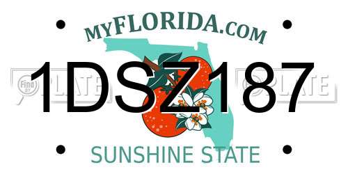 1DSZ187 Florida License Plate
