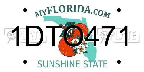 1DTO471 Florida License Plate