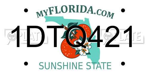 1DTQ421 Florida License Plate
