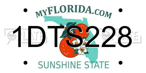 1DTS228 Florida License Plate