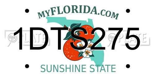 1DTS275 Florida License Plate