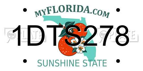 1DTS278 Florida License Plate