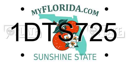 1DTS725 Florida License Plate