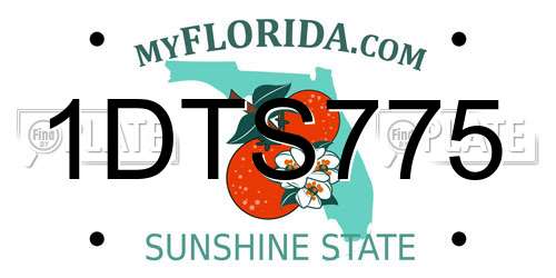 1DTS775 Florida License Plate