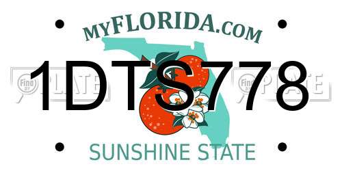 1DTS778 Florida License Plate