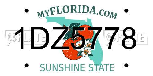 1DZ5778 Florida License Plate