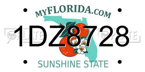 1DZ8728 Florida License Plate