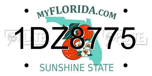 1DZ8775 Florida License Plate