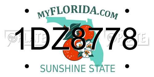 1DZ8778 Florida License Plate