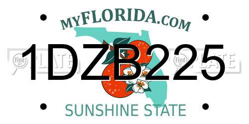 1DZB225 Florida License Plate