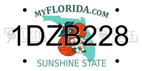 1DZB228 Florida License Plate
