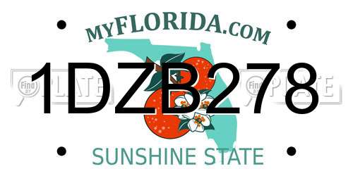 1DZB278 Florida License Plate