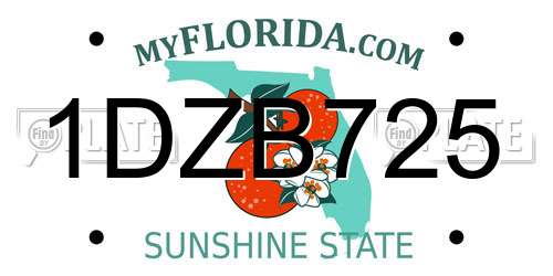 1DZB725 Florida License Plate