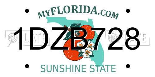 1DZB728 Florida License Plate