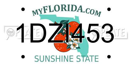 1DZI453 Florida License Plate